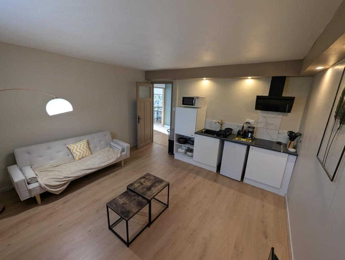 Appartement Verdoyant Au Bord Du Lac Leman Entre Evian Et Thonon Dans Une Villa Publier Екстериор снимка