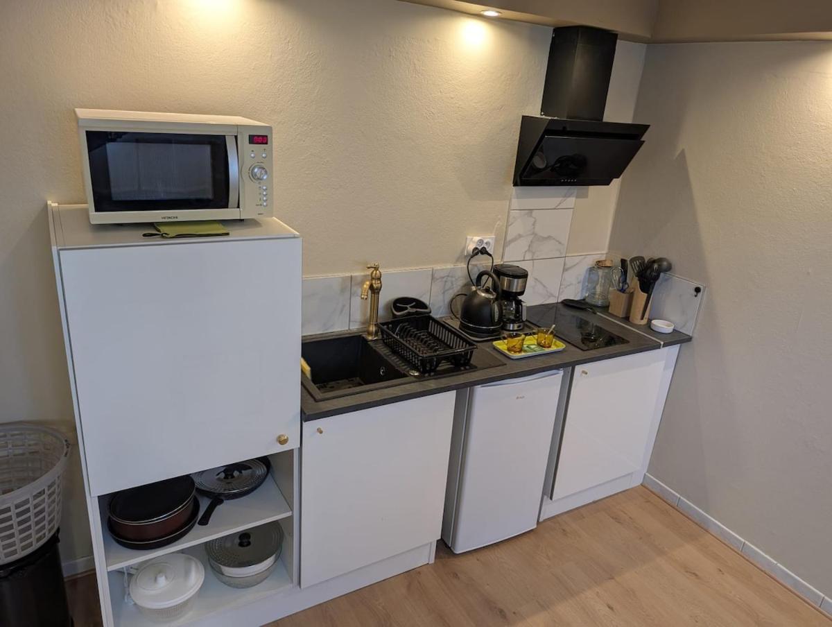Appartement Verdoyant Au Bord Du Lac Leman Entre Evian Et Thonon Dans Une Villa Publier Екстериор снимка